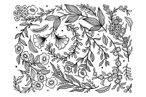 Floral Engravings Botanical Set Illustration Art Design Engraving
