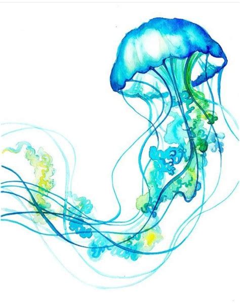 Watercolor Jellyfish Medusas En Acuarela Ilustracion Acuarela Arte