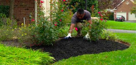1 Lawn Mulching Pros Outback Lawn Service Get A Free Quote Now