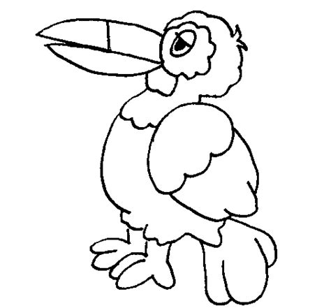 The toucan coloring pages also available in pdf file that you can download for free. Toucan coloring page - Coloringcrew.com