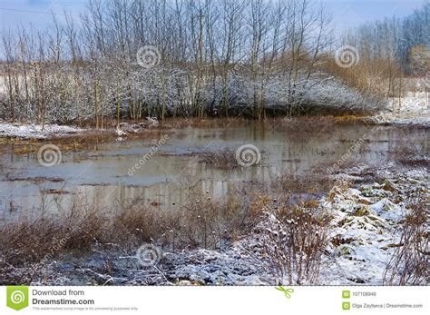 Winter Landscape With A Snow Covered River Bank Stock Photo Image Of