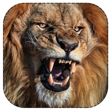 Lion Roar Png Free Download Png All Png All