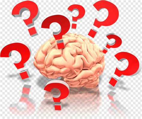 Brain Question Png Large Collections Of Hd Transparent Brain Png