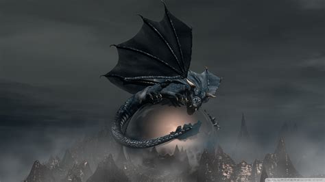We've looked specifically for images. Top 50 HD Dragon Wallpapers, Images, Backgrounds, Desktop ...