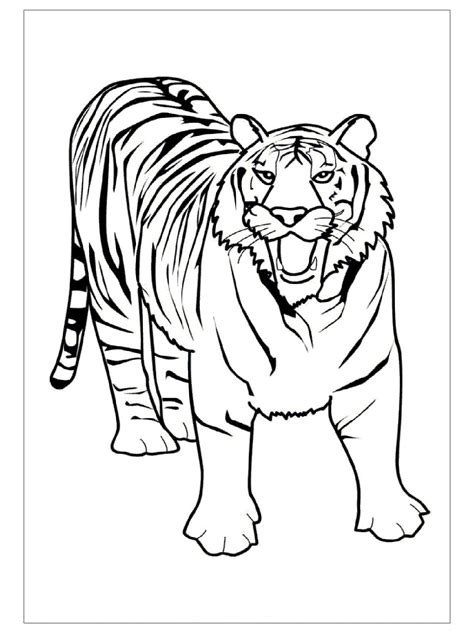 Complex Coloring Pages Tiger Coloring Coloring Pages