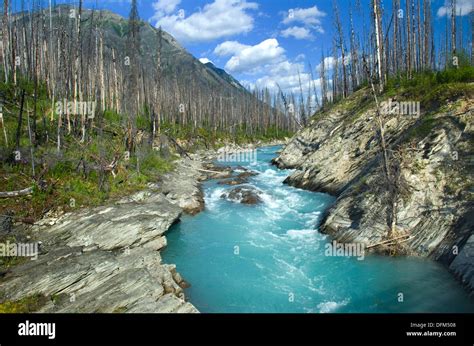Vermilion River Kootenay National Park British Columbia Canada Stock