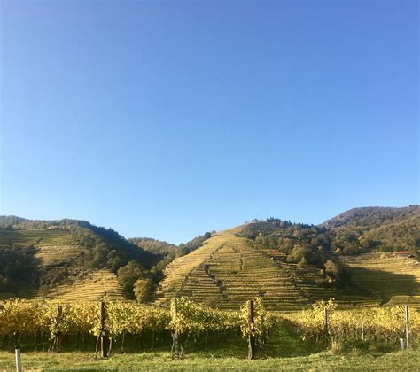 Kaiserberg › By bike