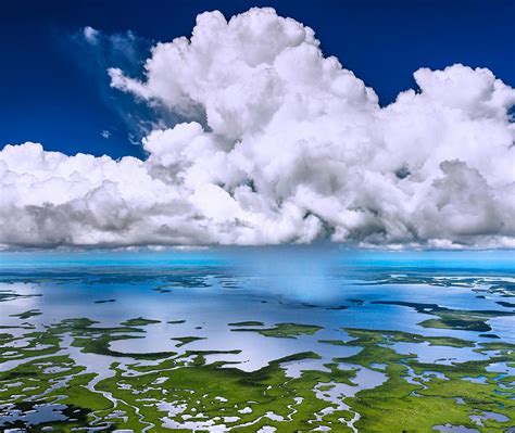 Everglades Showers Bing Wallpaper Download