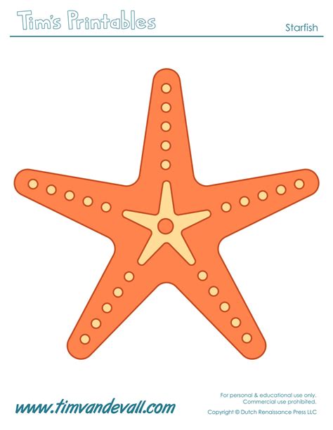 Starfish Template Free Printable