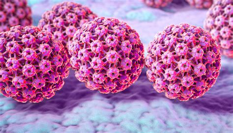 Human papillomavirus (hpv) is a group of viruses that are extremely common worldwide. HPV 16 é tipo de alto risco e pode causar câncer ...