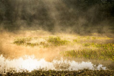 Misty Pond Stan Schaap Photography