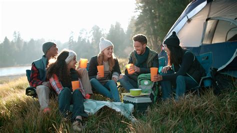 Group Of Friends On Camping Trip Sitting Stock Footage Sbv 309147607
