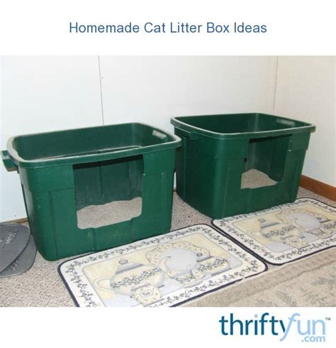 Shred newspaper in a paper shredder. Homemade Cat Litter Box Ideas | ThriftyFun