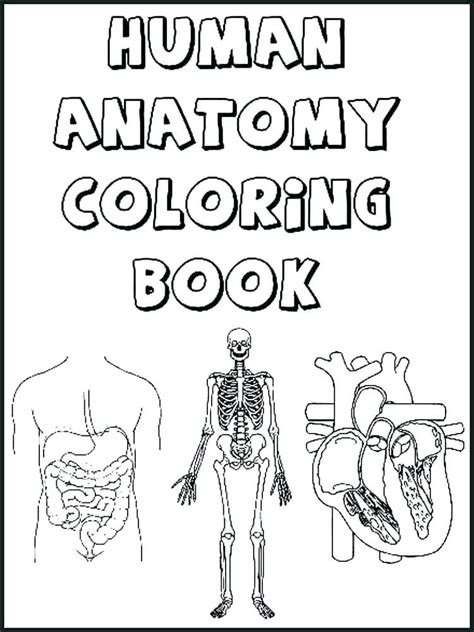 Human Body Organs Coloring Pages At Free Printable