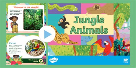 Eyfs Jungle Animal Sounds For Kids Powerpoint Teacher Made