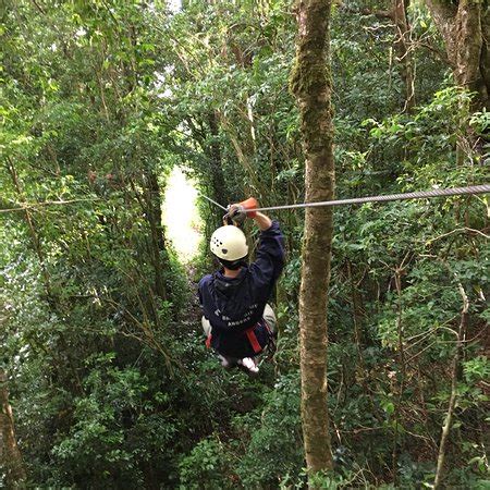 Operated by the original canopy tour monteverde. The Original Canopy Tour (Monteverde) 2019 | mayo | Qué ...