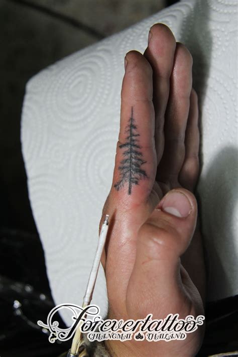 Spruce Tree Tattoo With Images Tree Tattoo Tattoos Cool Tattoos