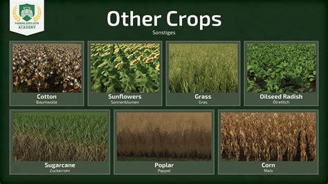 Farming Simulator 22 Different Crop Types Overview Guide