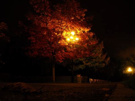 Autumn Night ~ Autumn Posters Picture