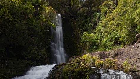 Download Wallpaper 2560x1440 Waterfall Stream Landscape Trees