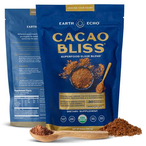 Buy Earth Echo Cacao Bliss Chocolate Powder Mix With Cinnamon
