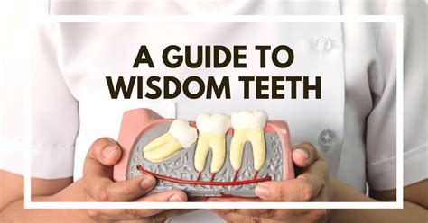 8 Things You Need To Know About Wisdom Teeth Tds Singapore
