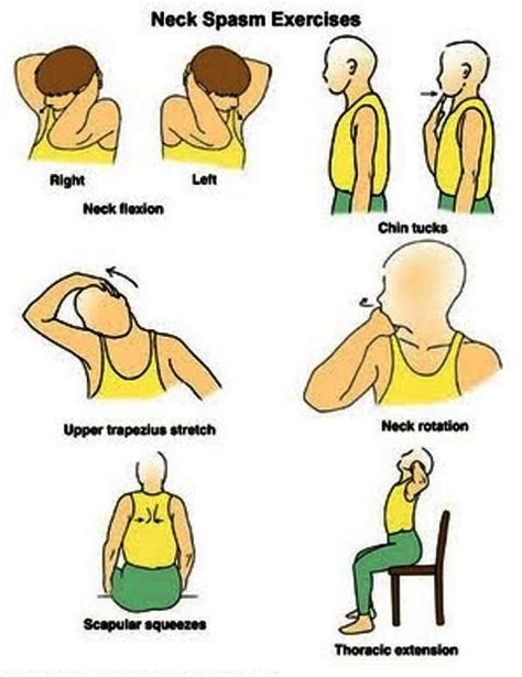 Exclusive Physiotherapy Guide For Physiotherapists Exercise For Neck