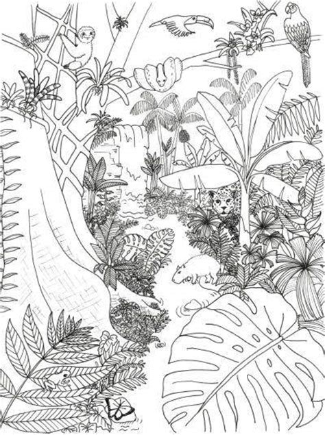 However, some animals see colors we cannot. Rainforest Coloring Page | Rainforest Alliance