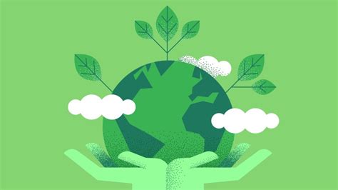día mundial del medio ambiente consejos para preservar el planeta y la naturaleza luz noticias