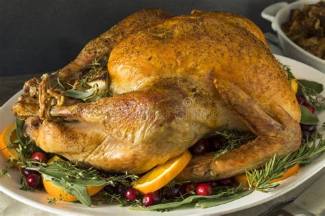 organic free range homemade thanksgiving turkey stock image image of baked roasted 101669883