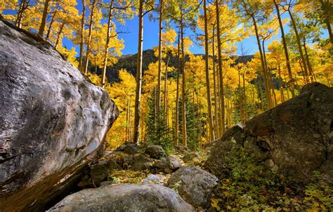 Обои осень лес небо деревья горы камни скалы роща картинки на