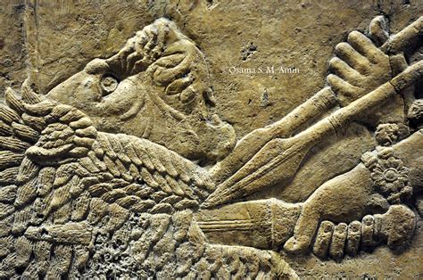 Lion Hunting Scene Of Ashurbanipal II British Museum Lion Hunting