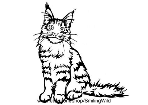 Maine Coon 04 Cat Cut File Clipart Vector Graphic Art Svg Etsy
