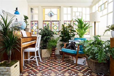 9 Easy Ways To Fill Your House With Plants Pebble Magazine