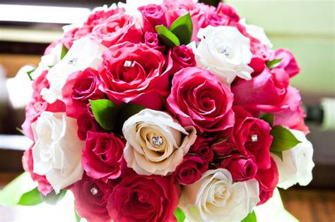 We did not find results for: Hot Pink And White Wedding Bouquets