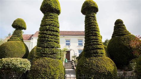 Village Home Catches Eye Thanks To Hedges Resembling Giant Penises As