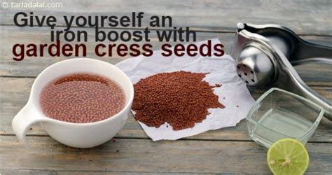 తోట పెరిగే ఓ మొక్క విత్తనాలు. Benefits of Gardencress seeds/ Halim/ Aliv - Nutri Choice 4 U