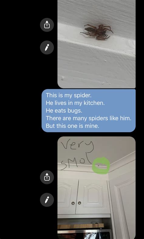 I Sent This To My Brother He Told Me To Share With You All Spiderbro