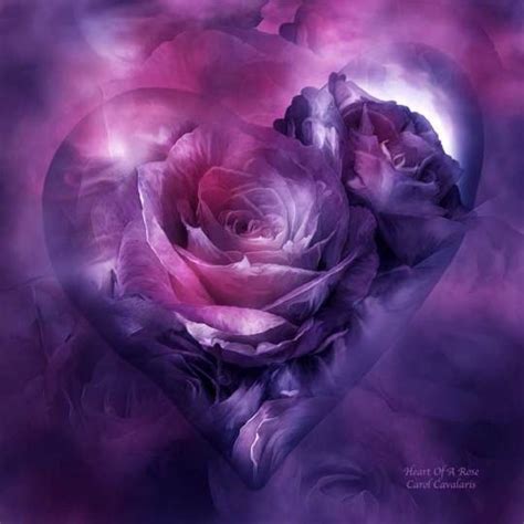 Purple Rose And Heart Purple Art Purple Roses Purple Love