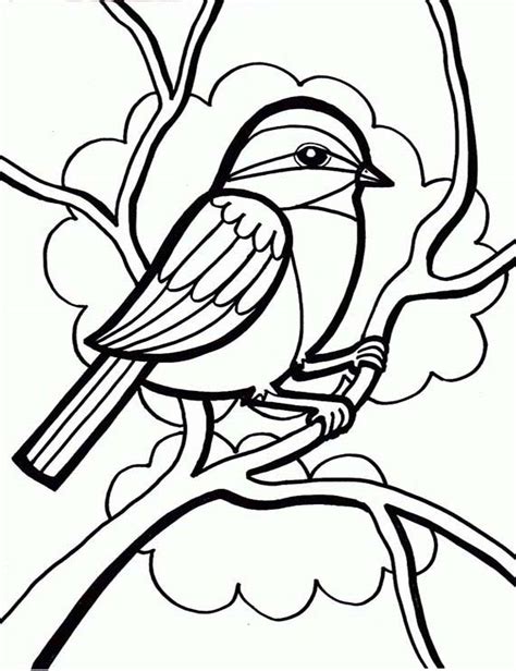Drawing A Little Cute Bird Coloring Page Color Luna