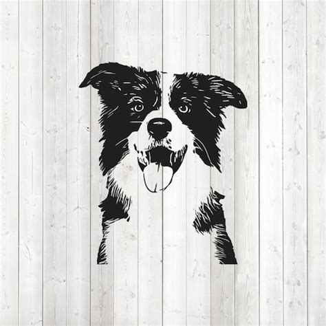 Border Collie Silhouette Instant Download Png And Svg Files Etsy