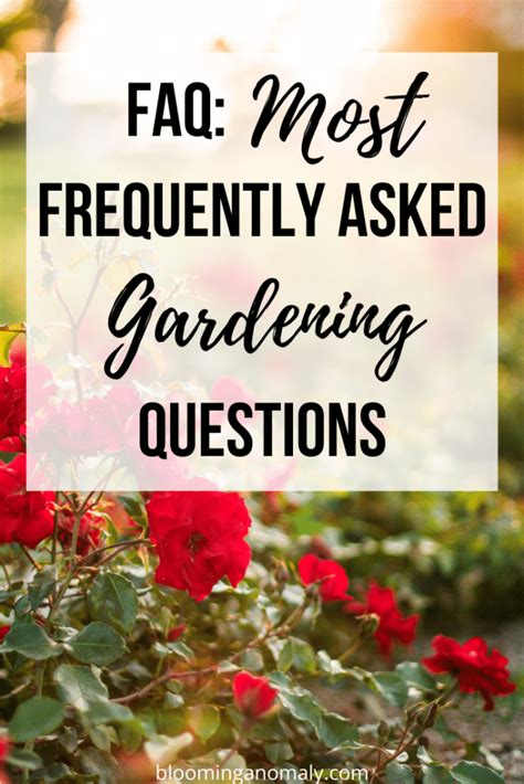 Most Frequently Asked Gardening Questions Blooming Anomaly