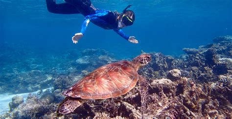 Great Barrier Reef Australia Off The Beaten Path