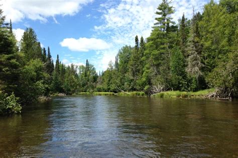 Protecting The Au Sable River Department Of Fisheries And Wildlife