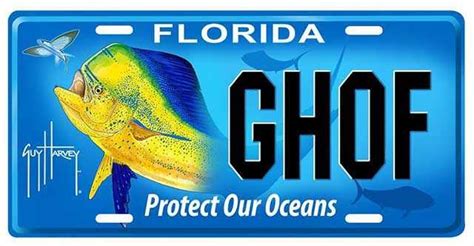 Protect Our Oceans Florida Specialty License Plate To Support The Guy