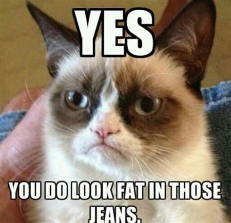 276 Best I Love Grumpy Cat Images On Pinterest Funny Animal
