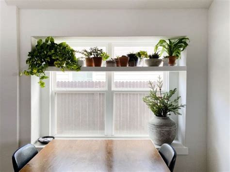 How To Build A Simple Beautiful Diy Plant Shelf Perfect For A Deep