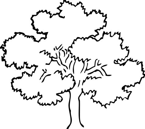 Fall Trees Clipart Black And White 10 Free Cliparts Download Images