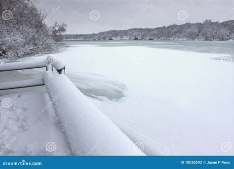 Pierce Lake Snowfall Illinois Stock Photo Image Of Bark Ecosystem