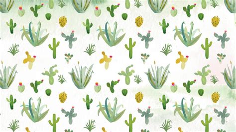 Cactus Wallpapers Wallpaper Cave